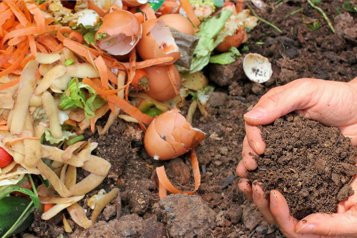 Bokashi Composting: Step-by-Step Guide