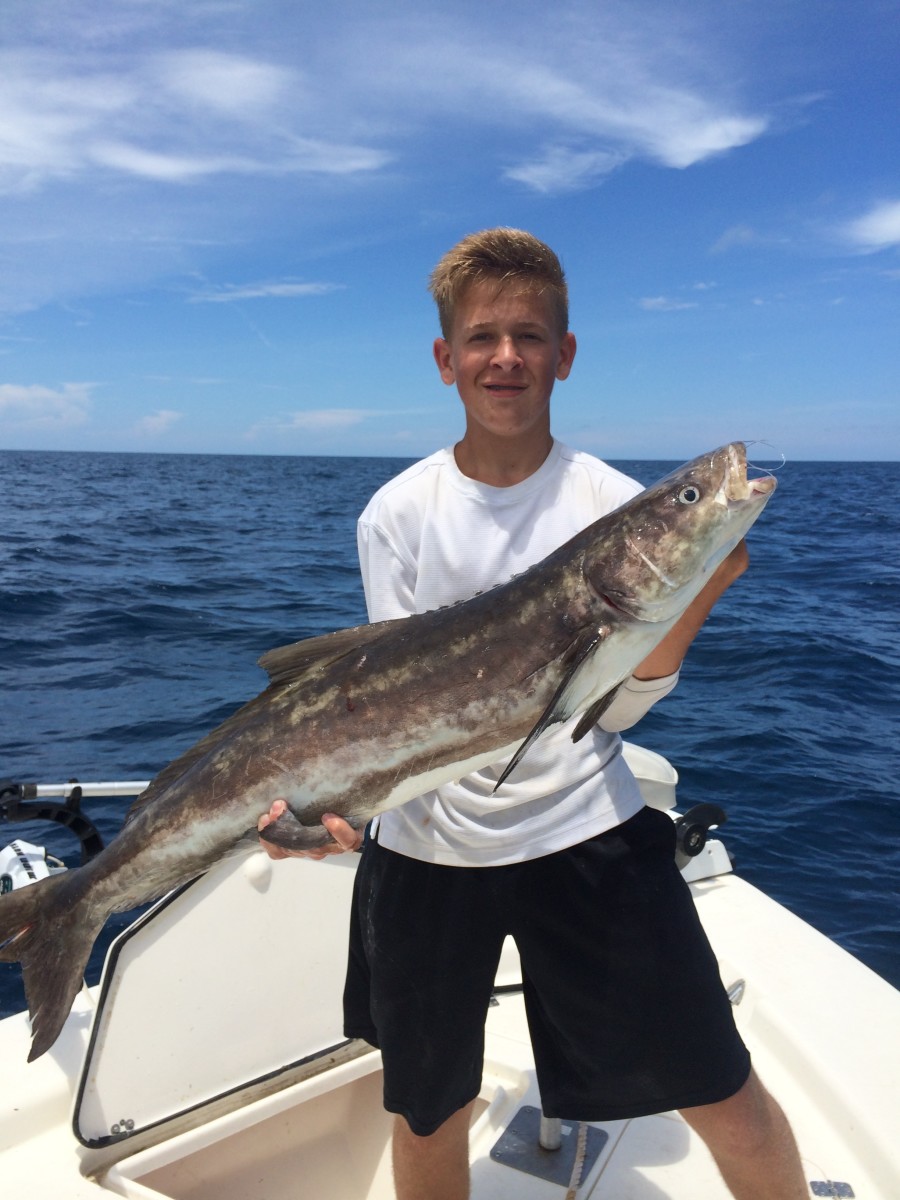 How to Catch the Mysterious Cobia