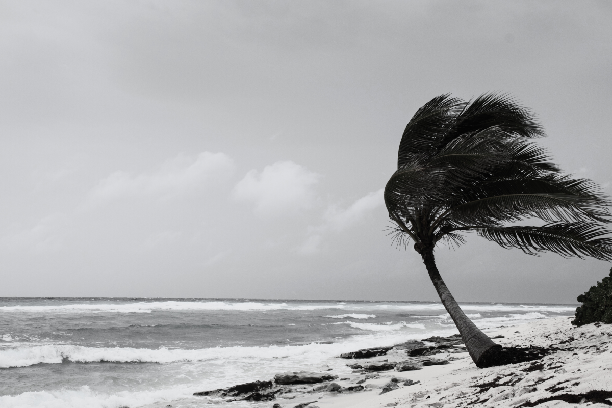 The Top 10 Worst Hurricanes in United States History Owlcation