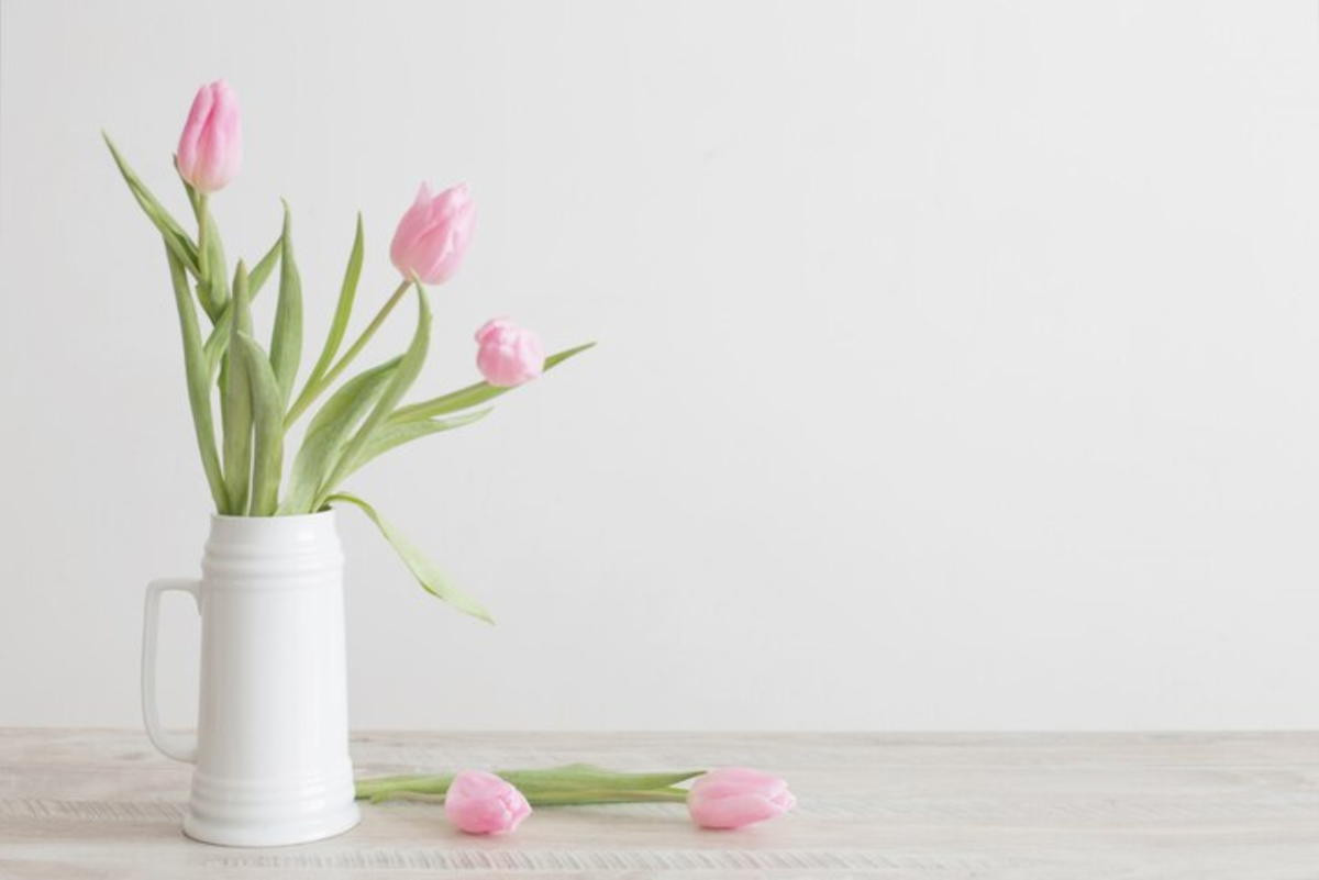 How to Grow Tulips in a Glass Jar Indoors