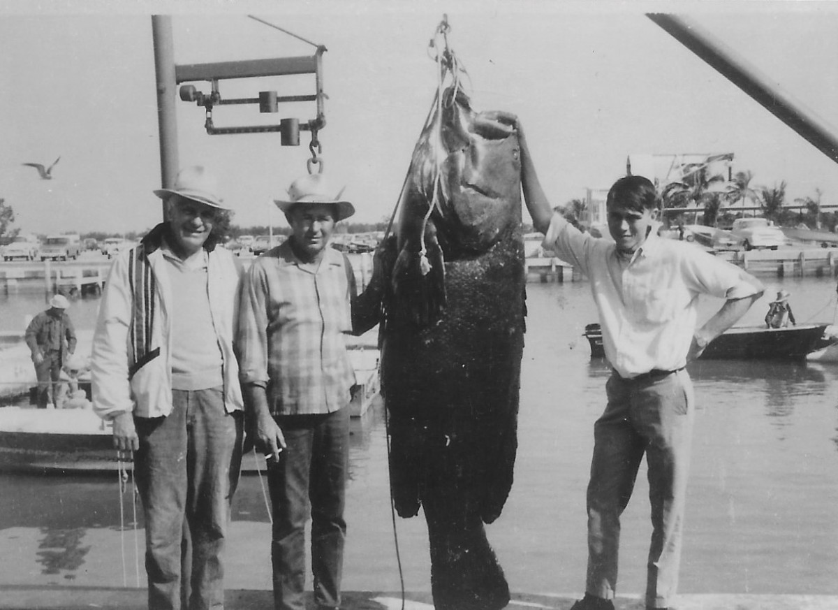 Goliath Grouper Fishing—or Non-fishing: History and Restrictions