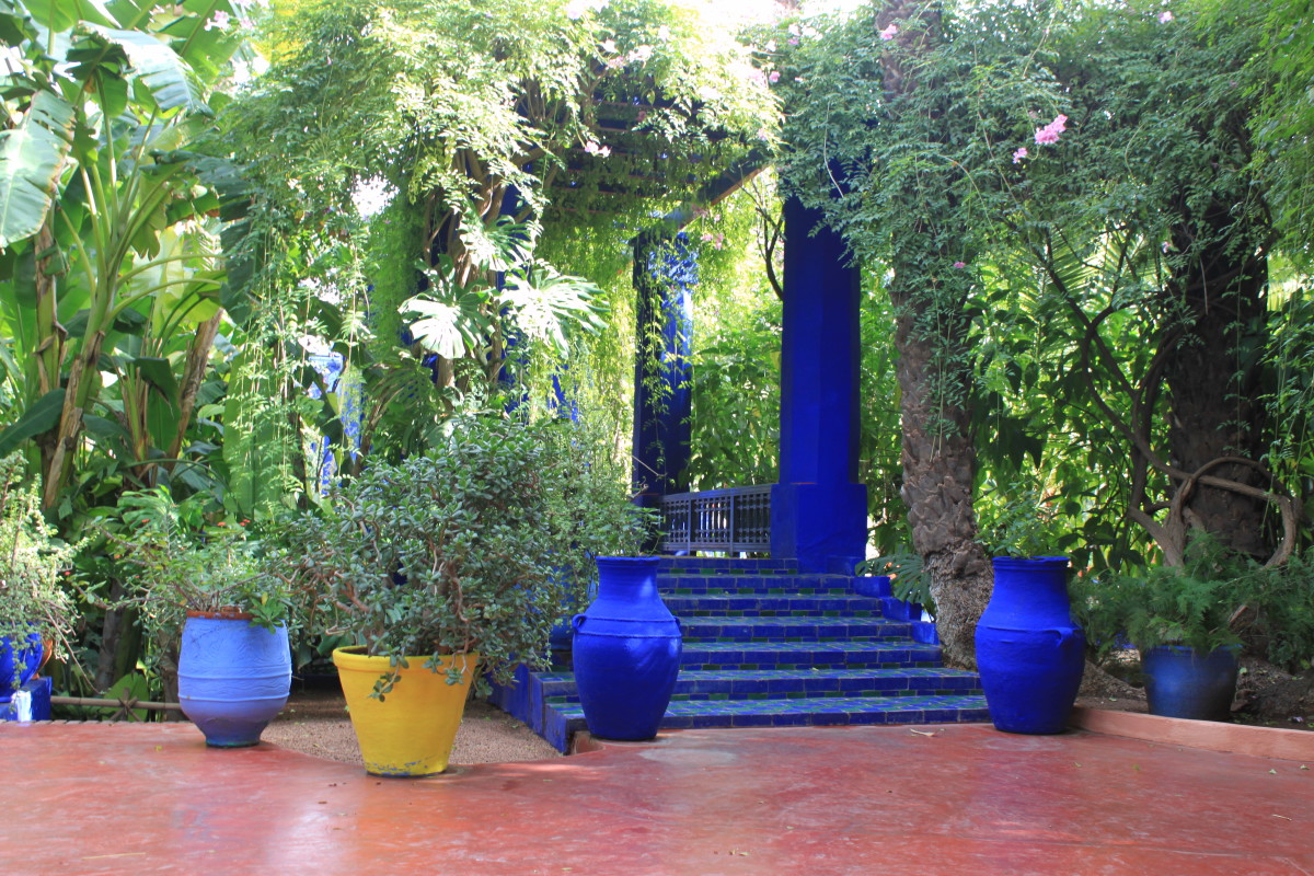 Jardin Majorelle - Calm Amongst The Marrakesh Chaos