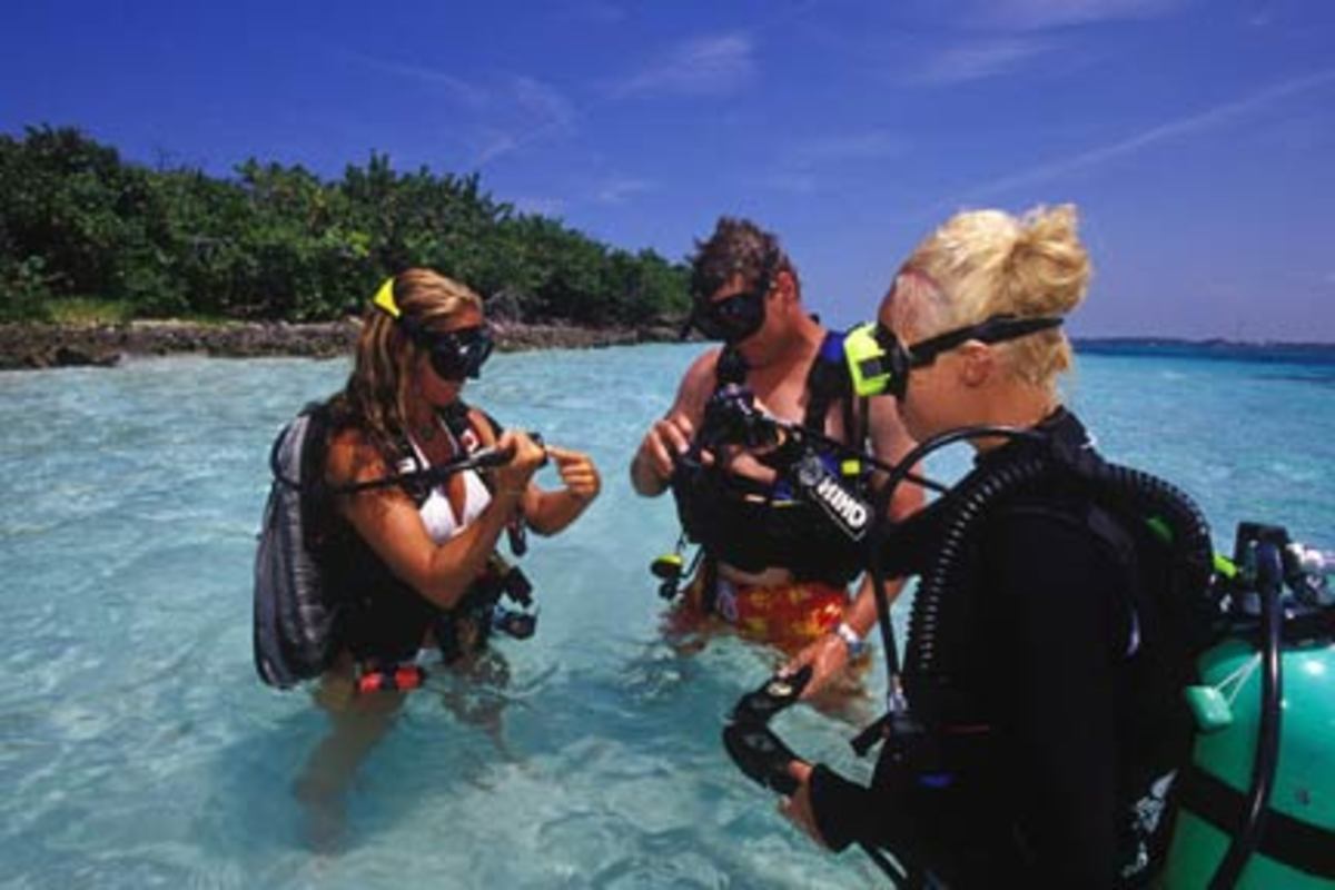 Scuba Diving Safety Tips for Beginners HubPages