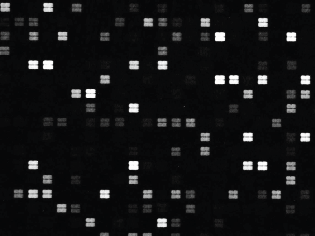 Novel Synthetic Peptide Arrays = Spot