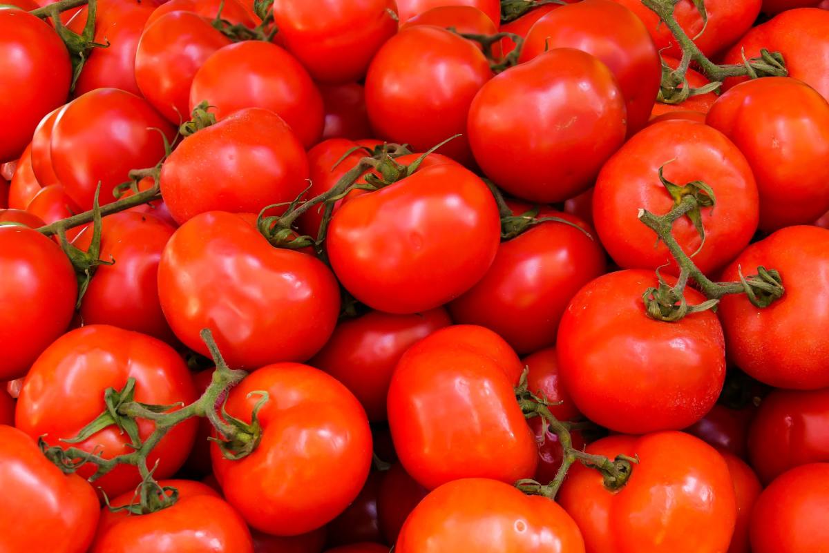 Mulching, Staking, and Pinching Your Way to Better Tomato Plants