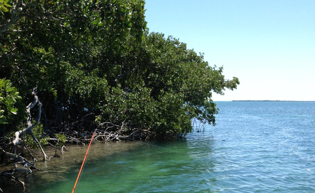 Fishing Vacation on the Florida Keys