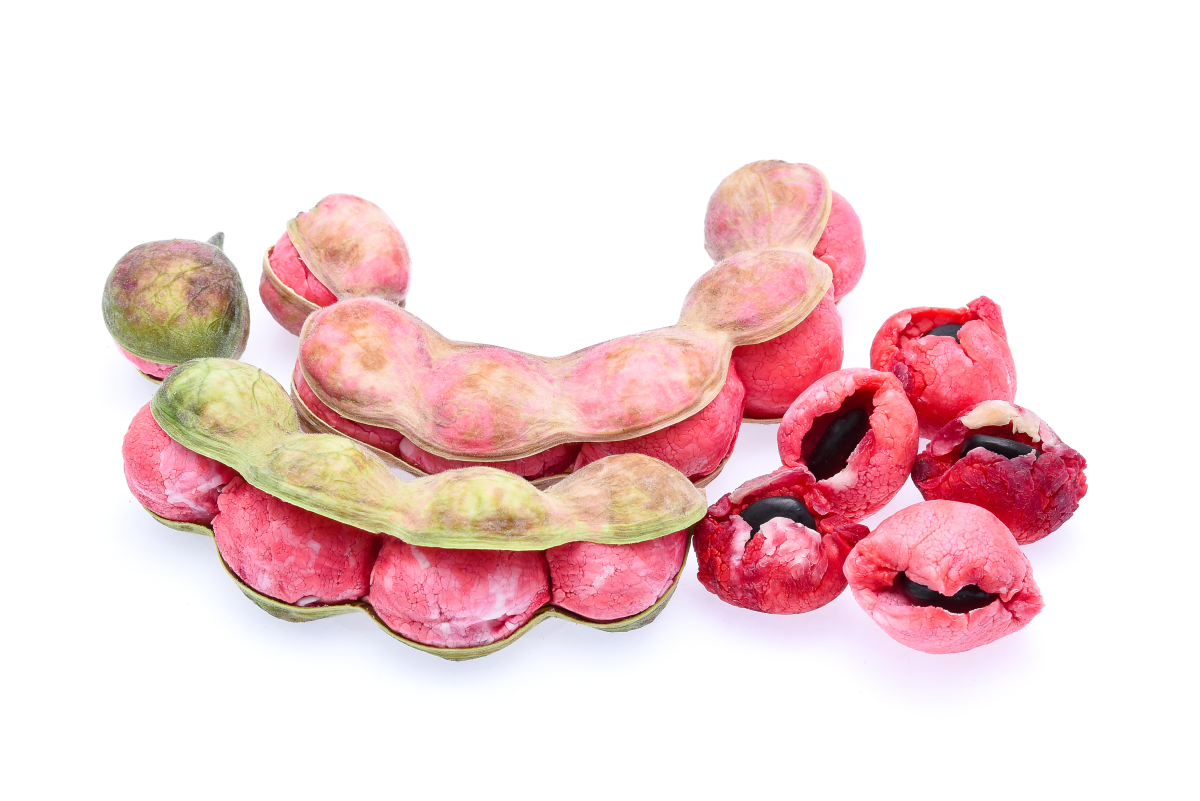 7 Incredible Health Benefits of Mystery Fruit: Camachile (Manila Tamarind)