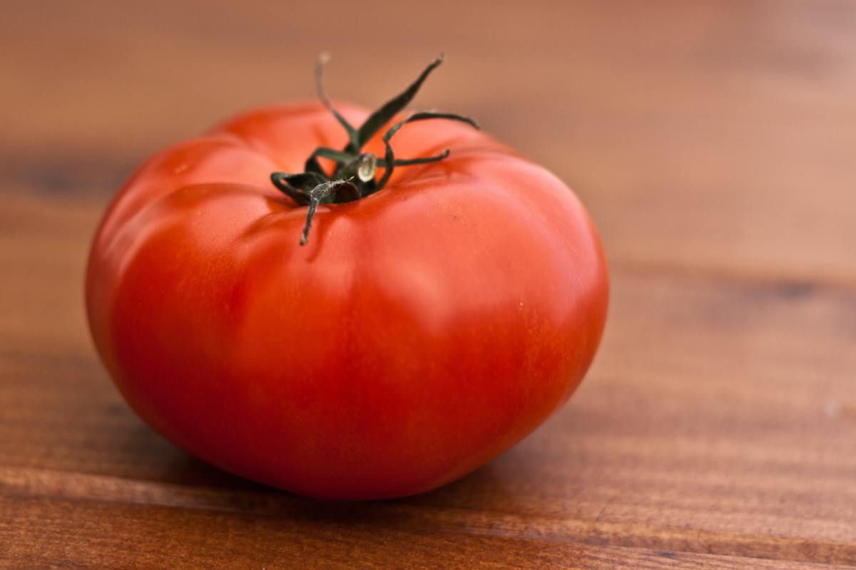 How to Grow Big Tomato Plants
