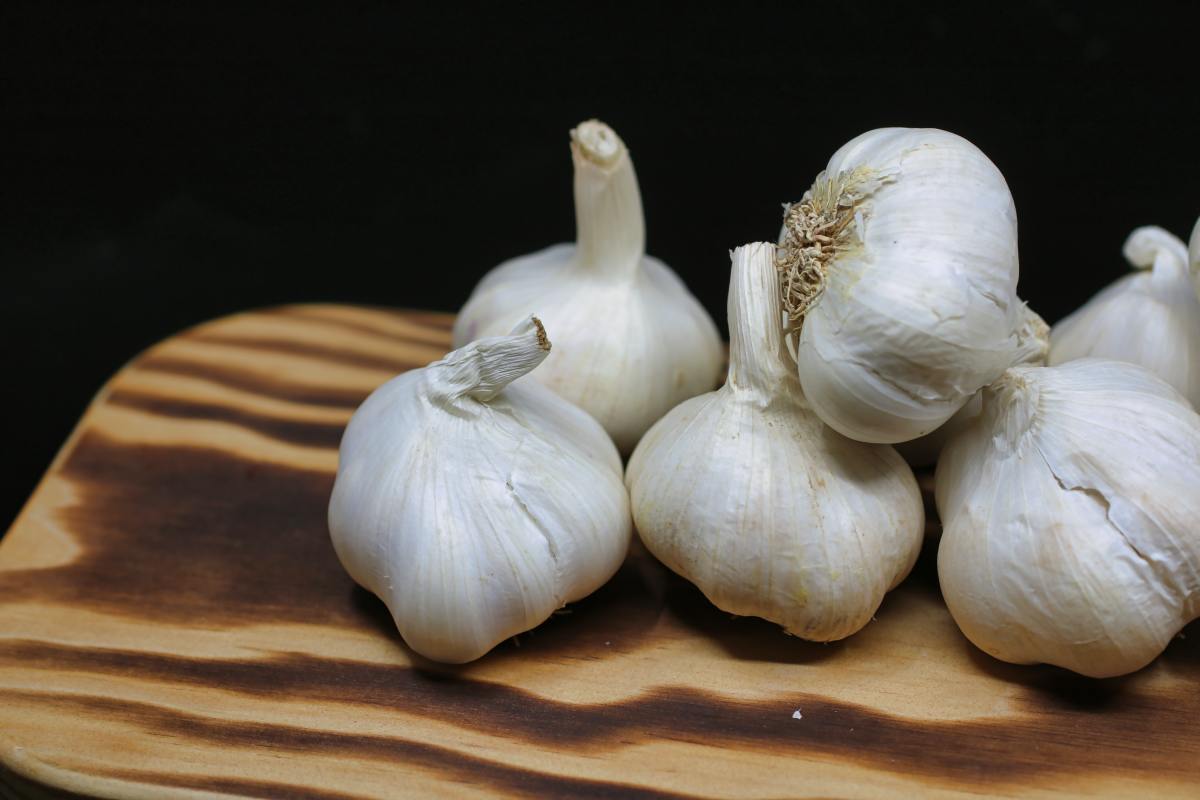 How to Make Garlic Water Pesticide for Plants