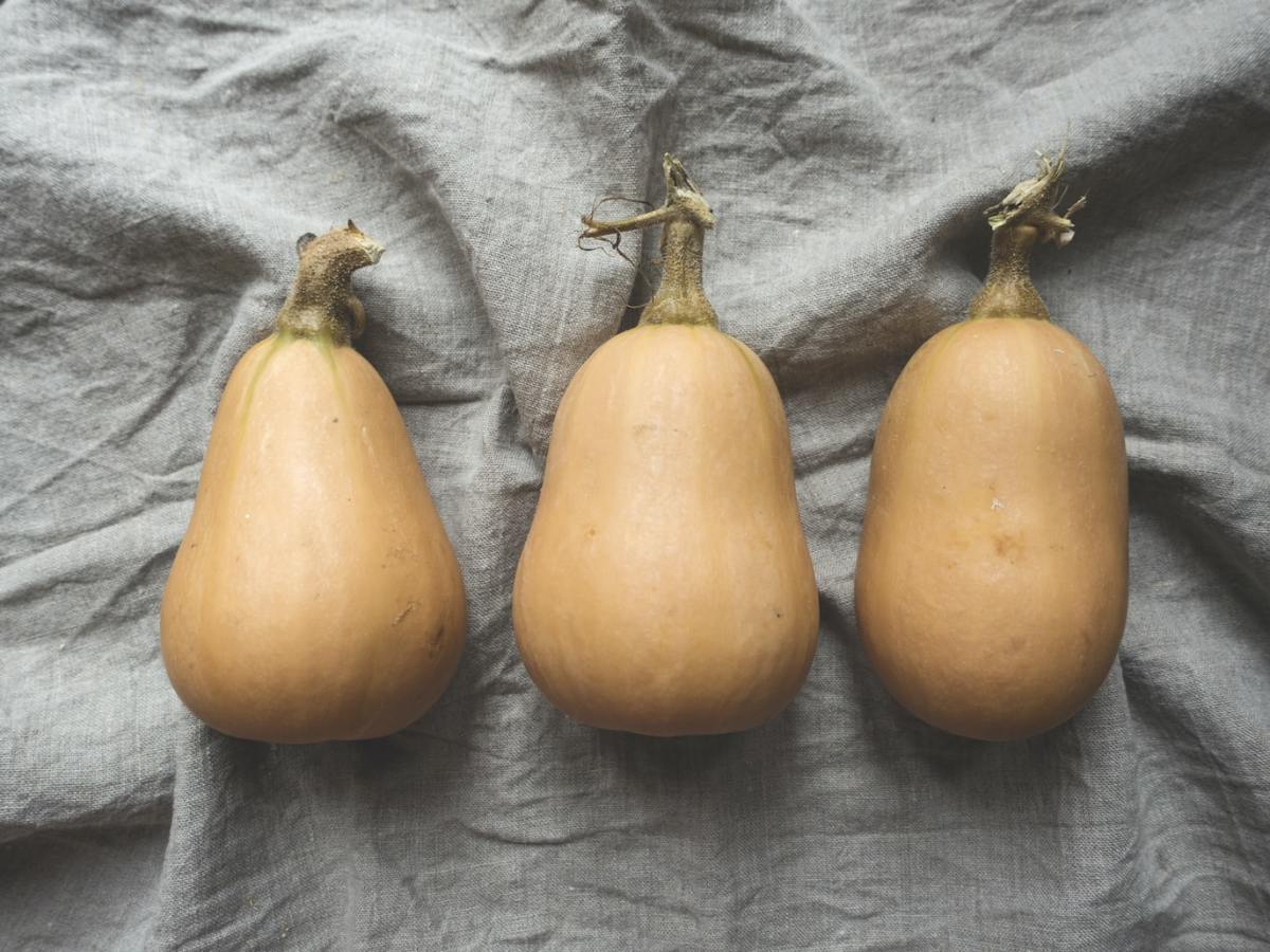 Growing Butternut Squash (and How to Store It)