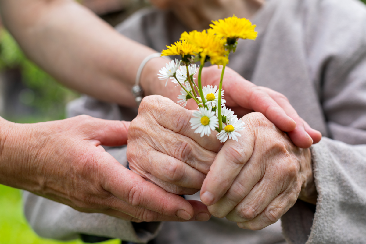 Пожилые держатся за руки. Забота о пожилых людях. Букет цветов в пожилых руках. Рука в руке пожилого человека.
