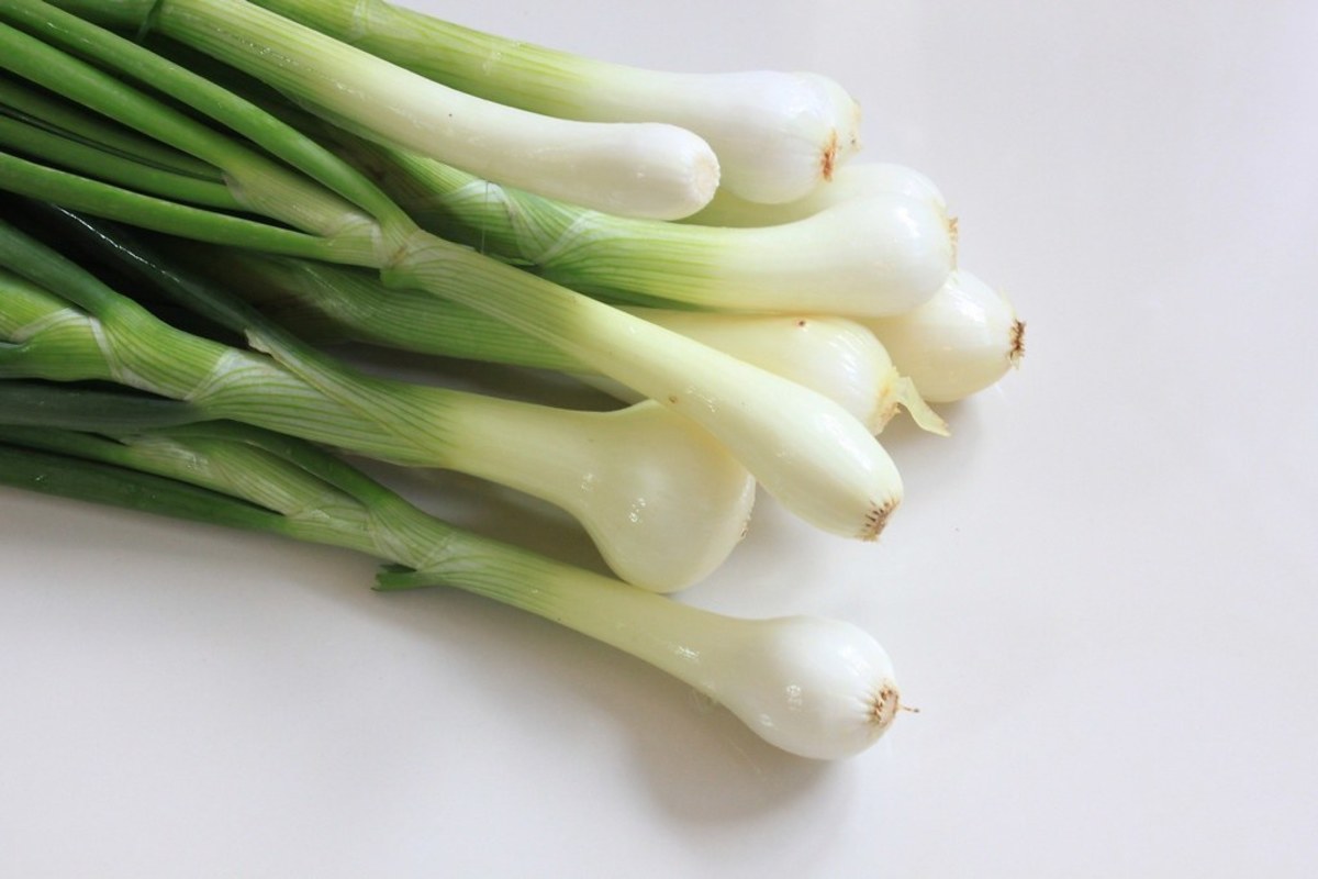 The Easy Way to Grow Green Onions (A Photo Guide)
