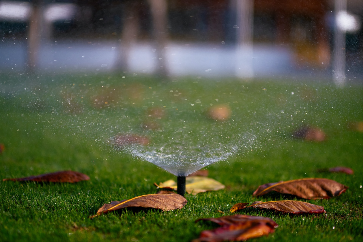 Best Sprinkler Heads for Watering Your Landscape