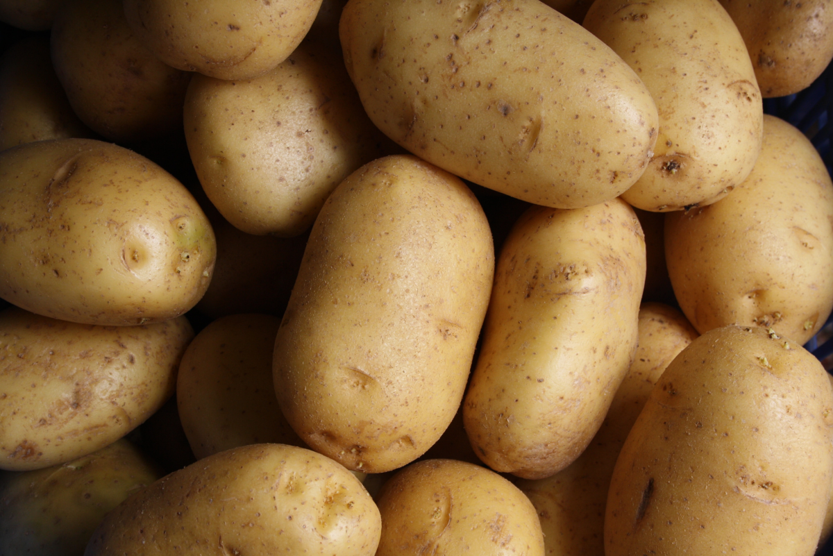 How to Grow Potatoes: Easy Potato Growing Methods for All Situations