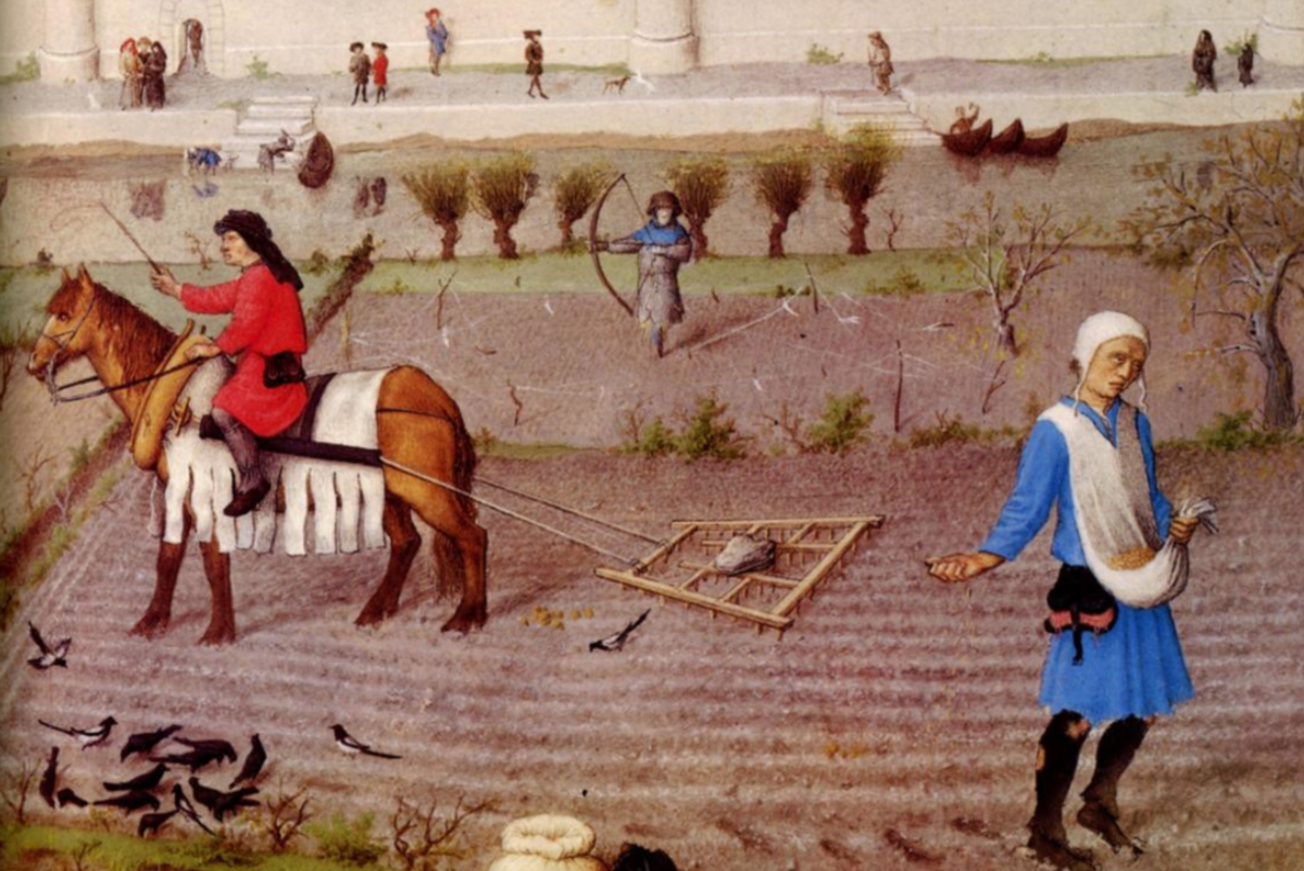 The Life of a Peasant in Medieval England