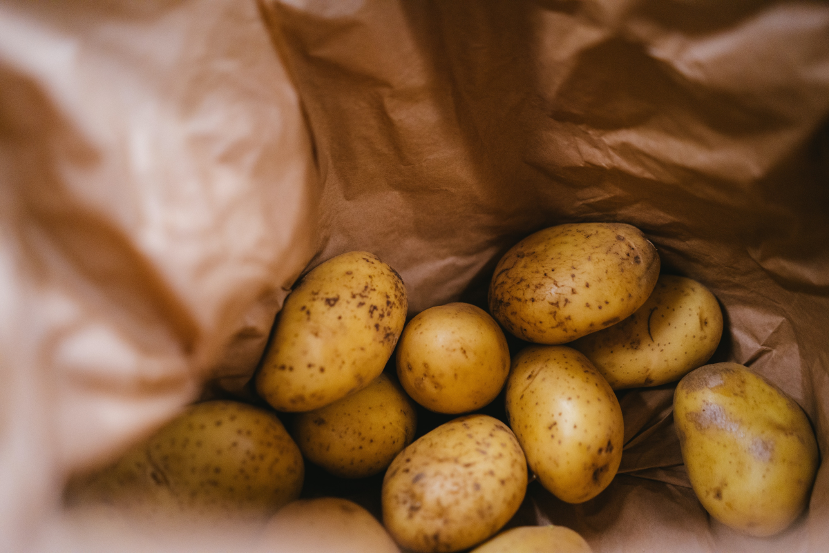 Why do potatoes grow in bags of soil have so many tubers? Here is