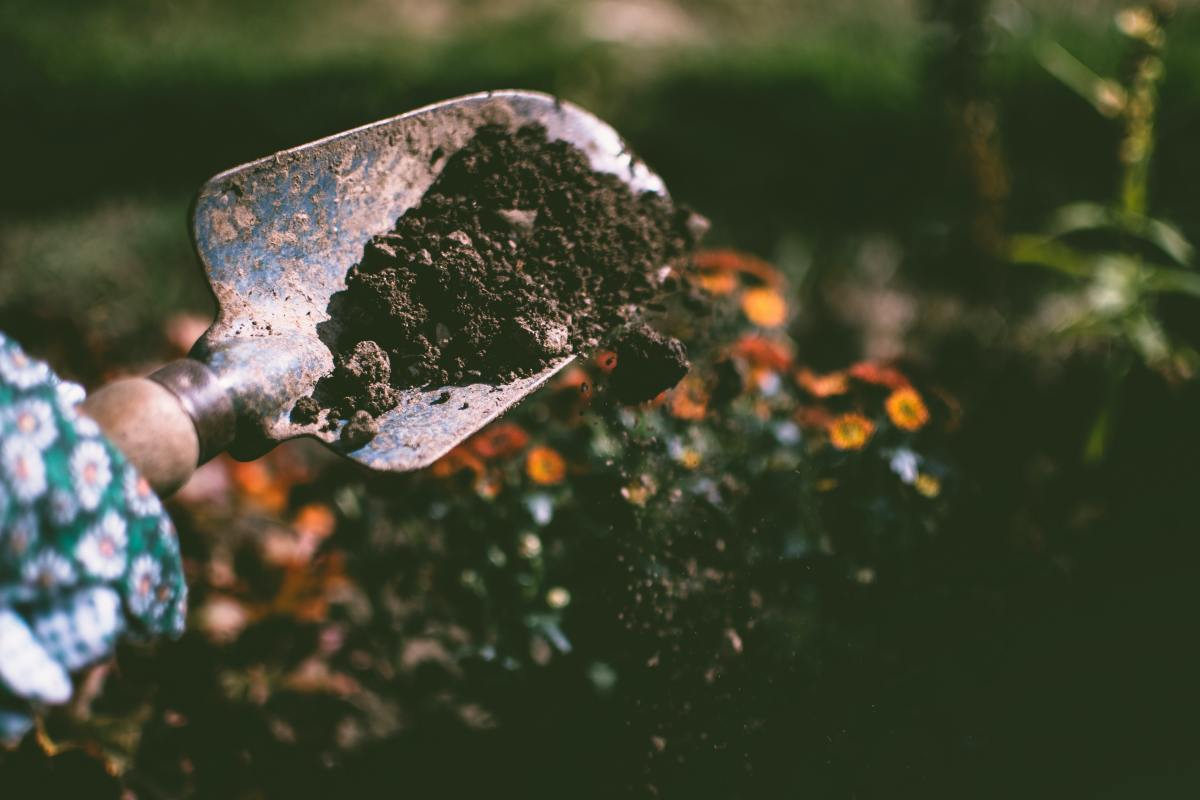 How to Prepare Soil for a Healthy Vegetable Garden