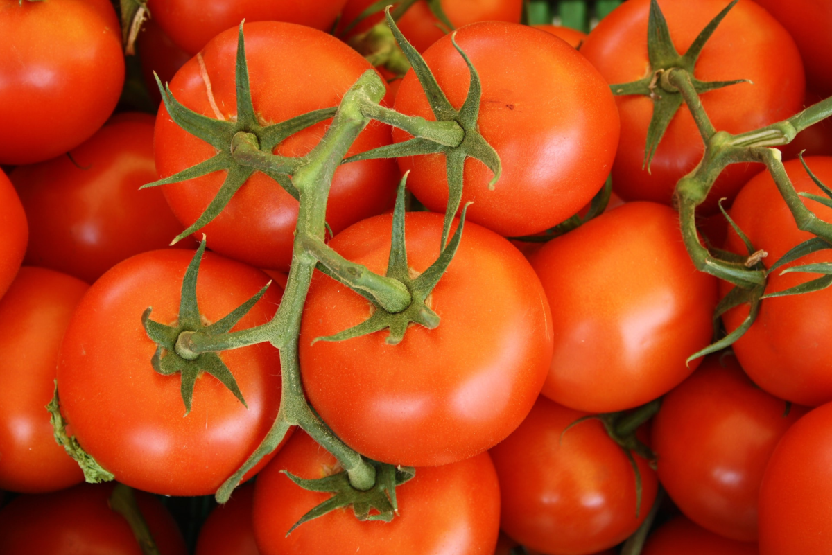 Container Tomato Gardening: A Comprehensive Guide