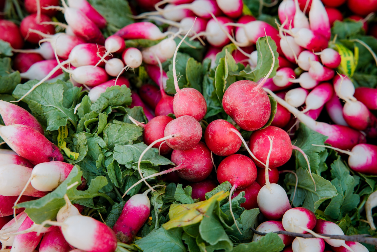 In season late winter: Radishes - Healthy Food Guide