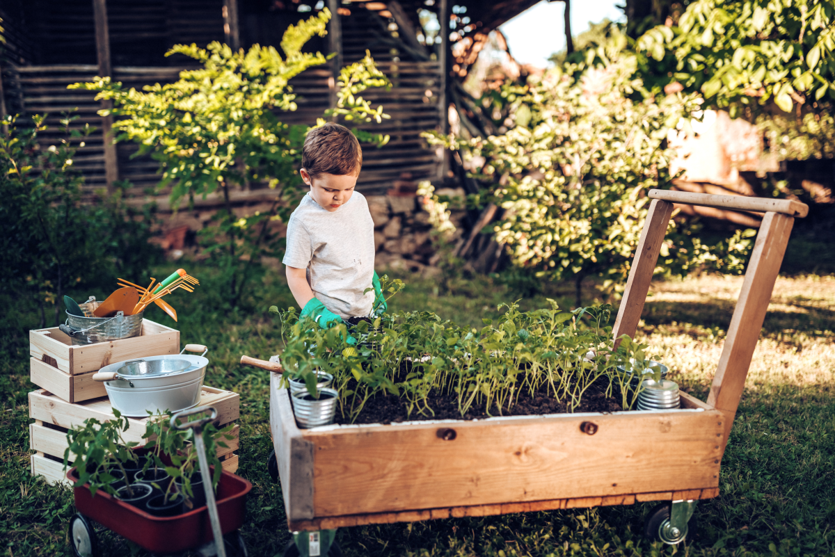 Fun Plants and Ideas for Gardening With Children