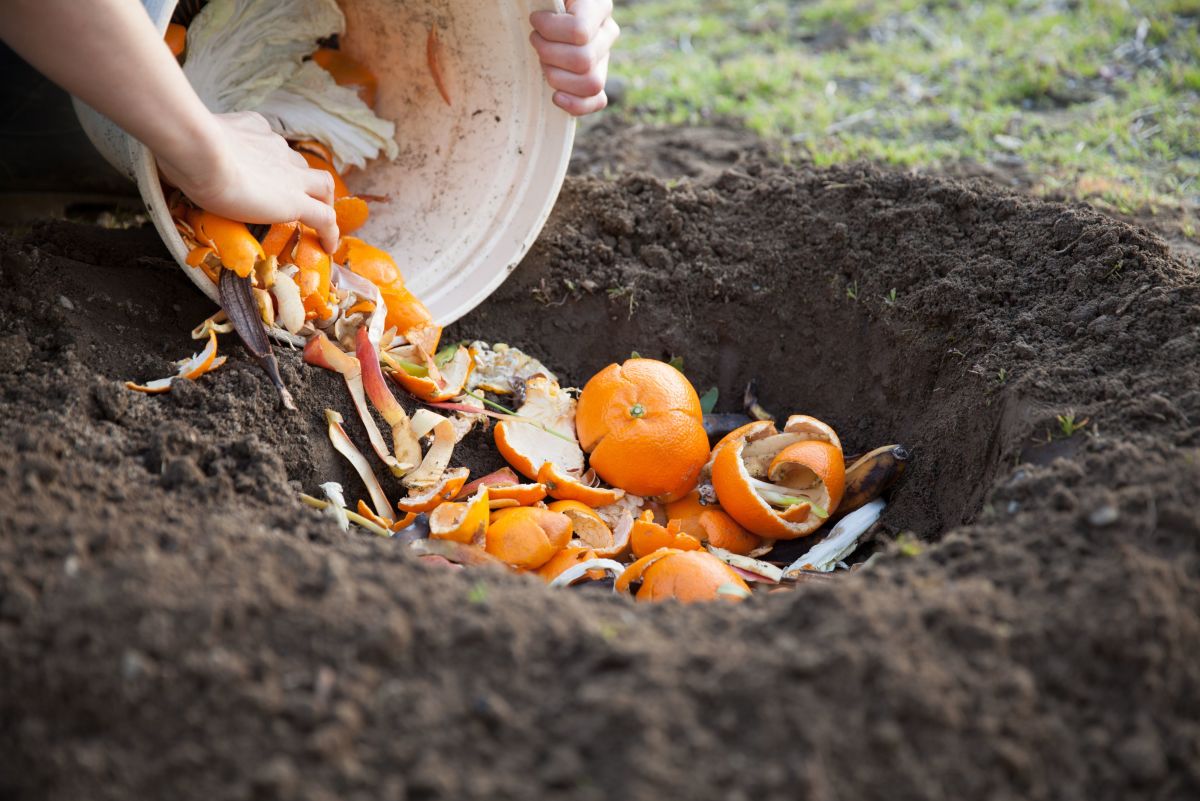 Compost Holes: A Cheap and Easy Way to Enrich Your Soil