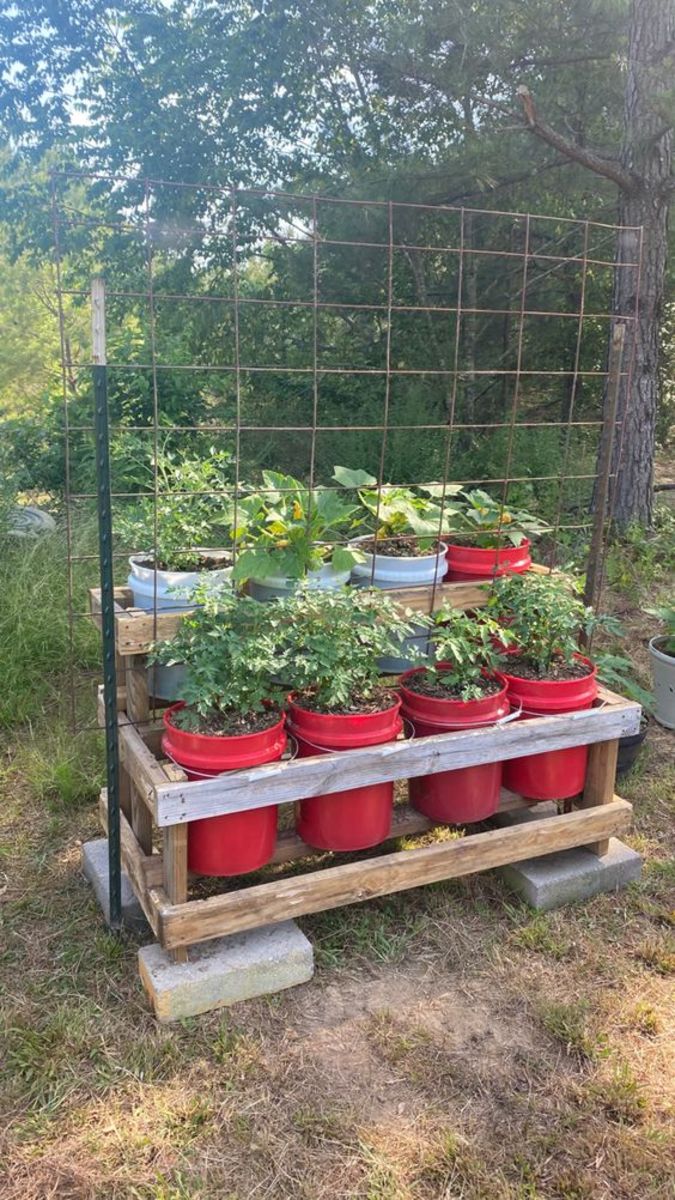 Transform Your Garden with The Best Seed Storage Containers