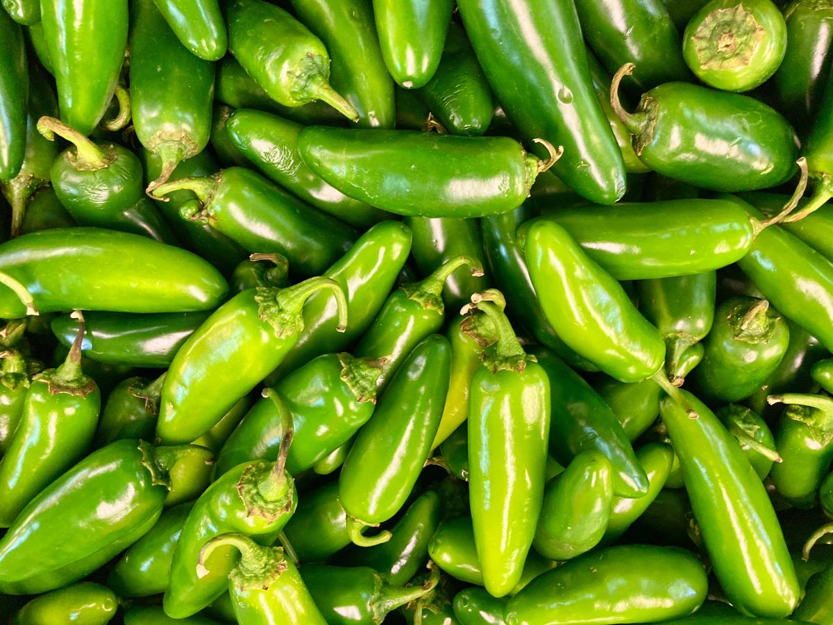 How to Grow Jalapeños in a Pot or Container From Seed