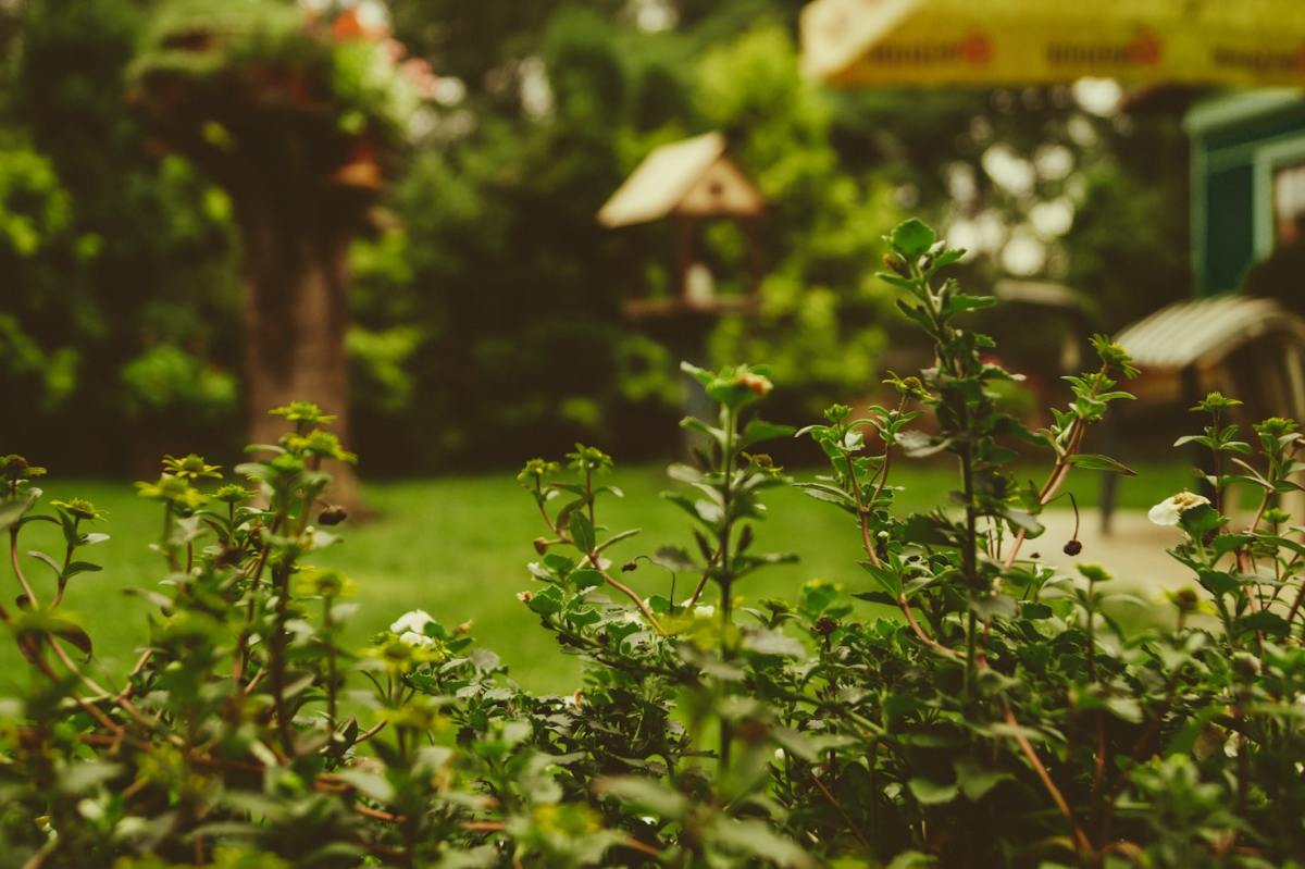 How To Design A Simple Garden Plan Dengarden