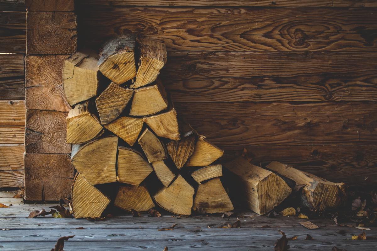 Best Types of Hardwood Trees to Use for Firewood: Oak, Cherry, Sassafras, Locust, and Ash