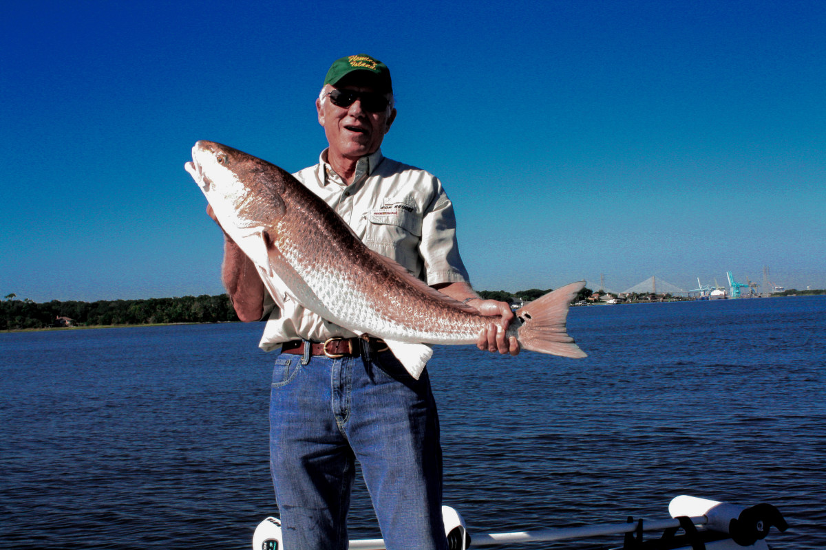 Redfish and Orzo Recipe