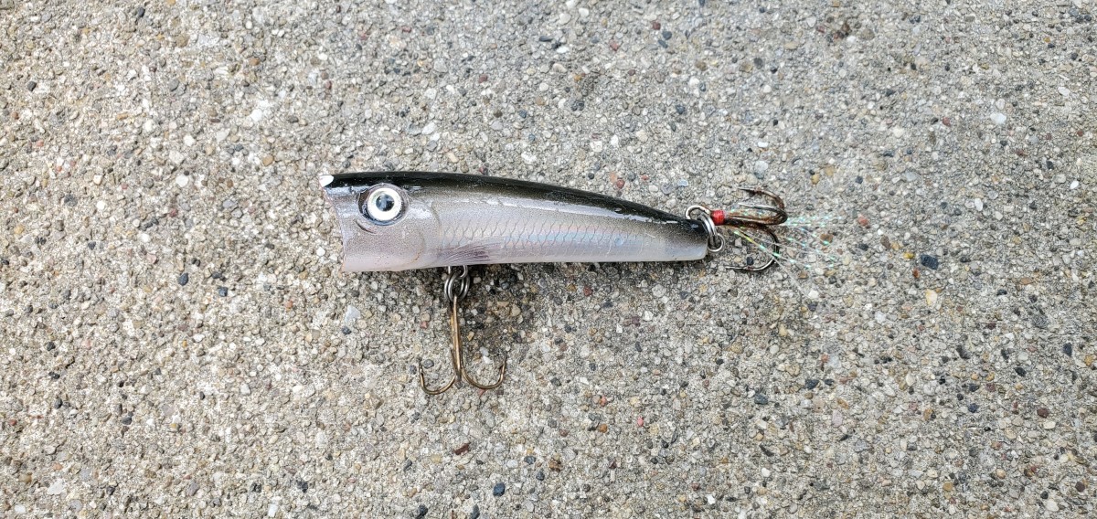 Rebel Pop-R Lure: Review for Topwater Bass Fishing