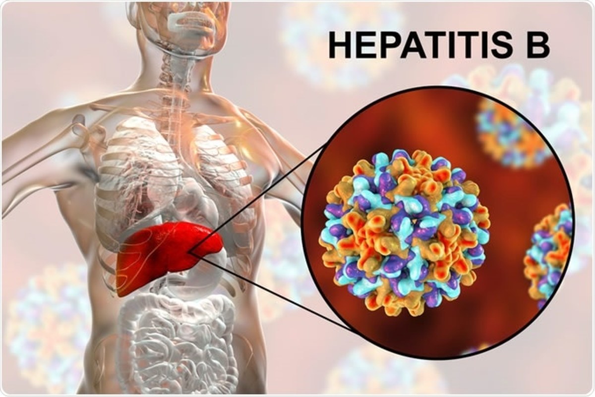 uncovering-the-truth-does-hepatitis-b-go-away-hubpages