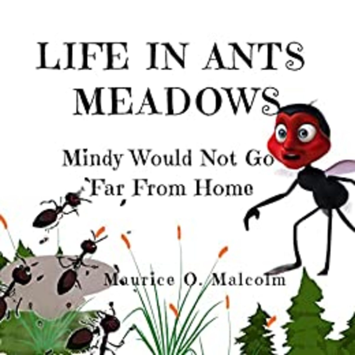 Life In Ants Meadows Children's Story Book