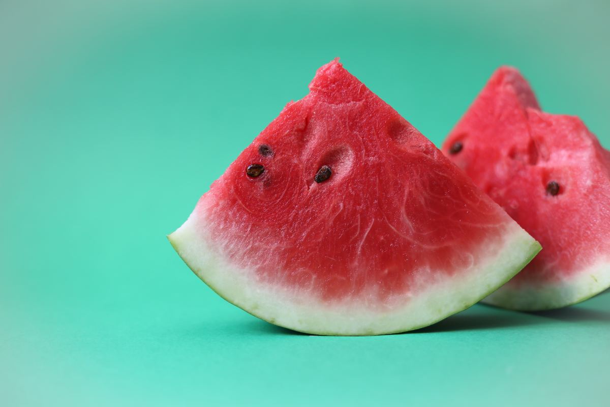 Can Dogs Eat Watermelon? What to Know About This Popular Summer Fruit and Your Pup