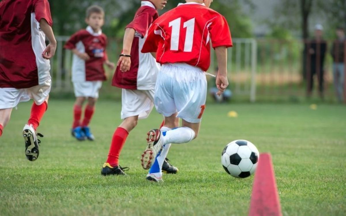 Player Development in English Football: The Importance of Academies and ...