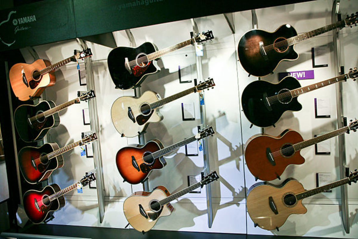 10 Best Budget Acoustic and Electric Guitar Brands