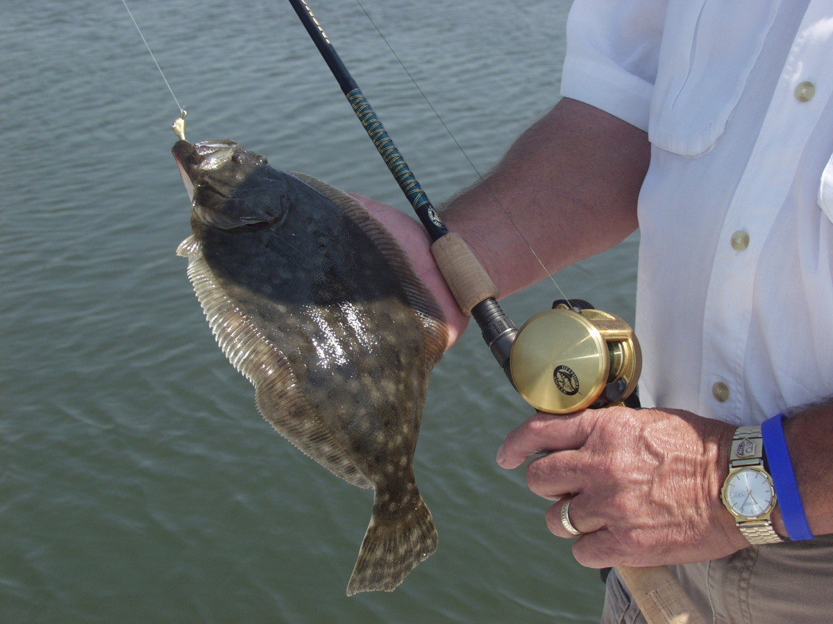 Flounder Almondine