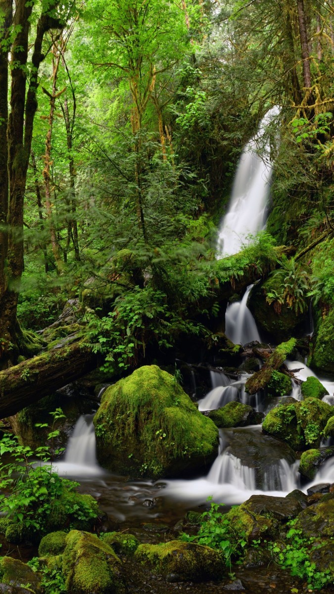 Explore Olympic National Park A Comprehensive Guide Hubpages 