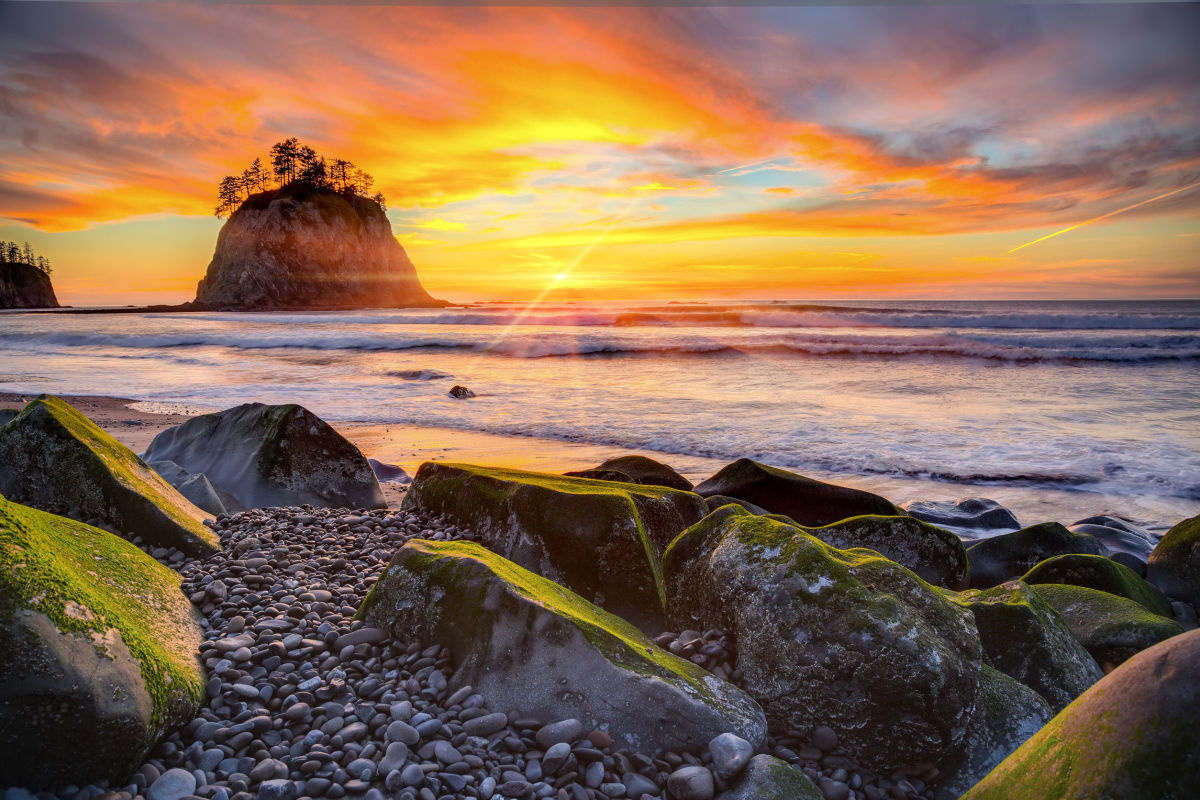 Explore Olympic National Park A Comprehensive Guide Hubpages 