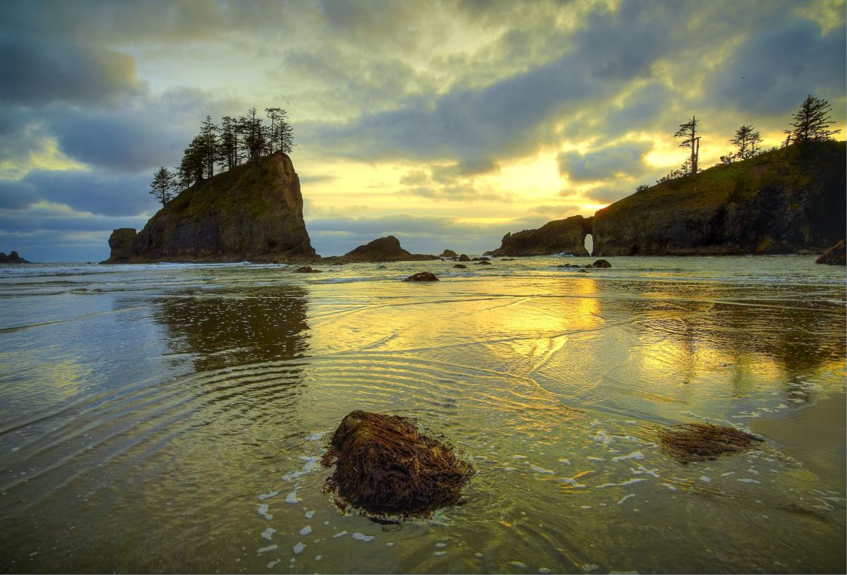 Explore Olympic National Park: A Comprehensive Guide