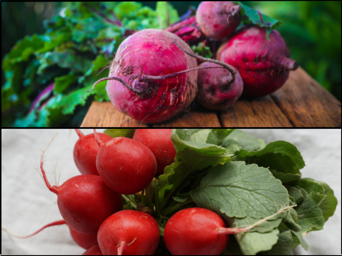 Radishes or Beets? Let’s Get to the Root of the Better Vegetable