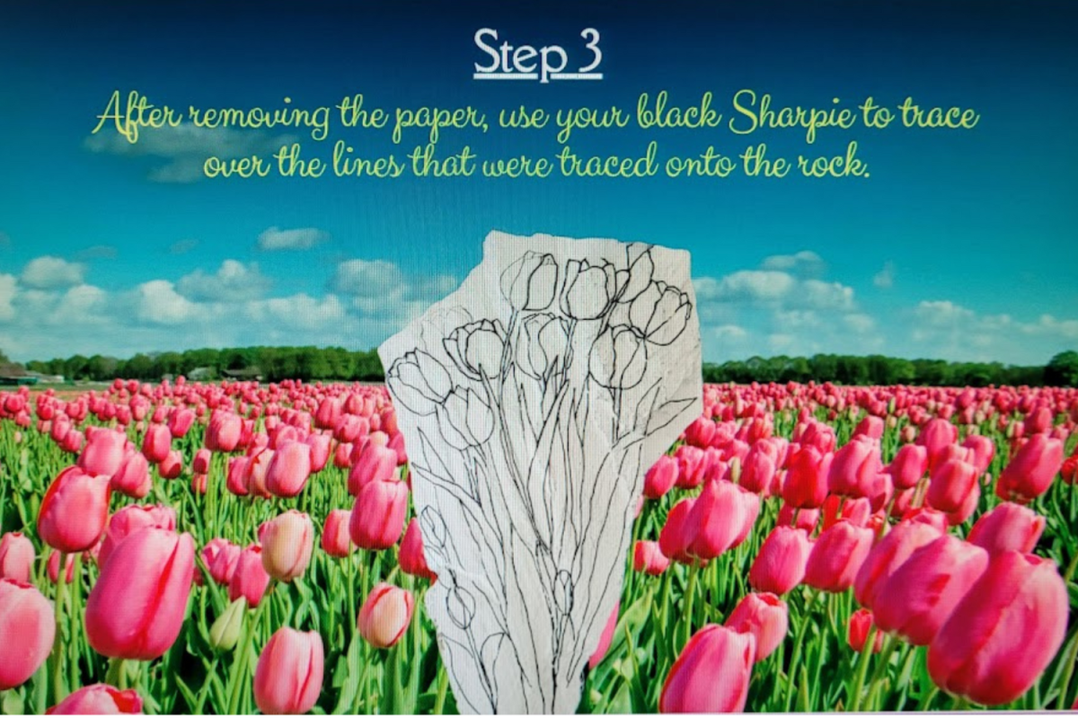 "Tulips" a Rock Painting Tutorial HubPages