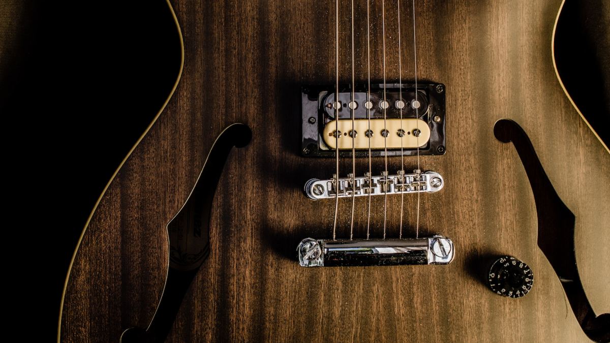Do Tonewoods Matter for Electric Guitars?