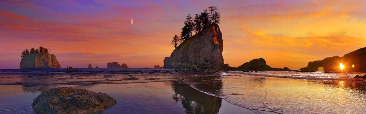 Discover the Best Beaches of Washington's Coastline
