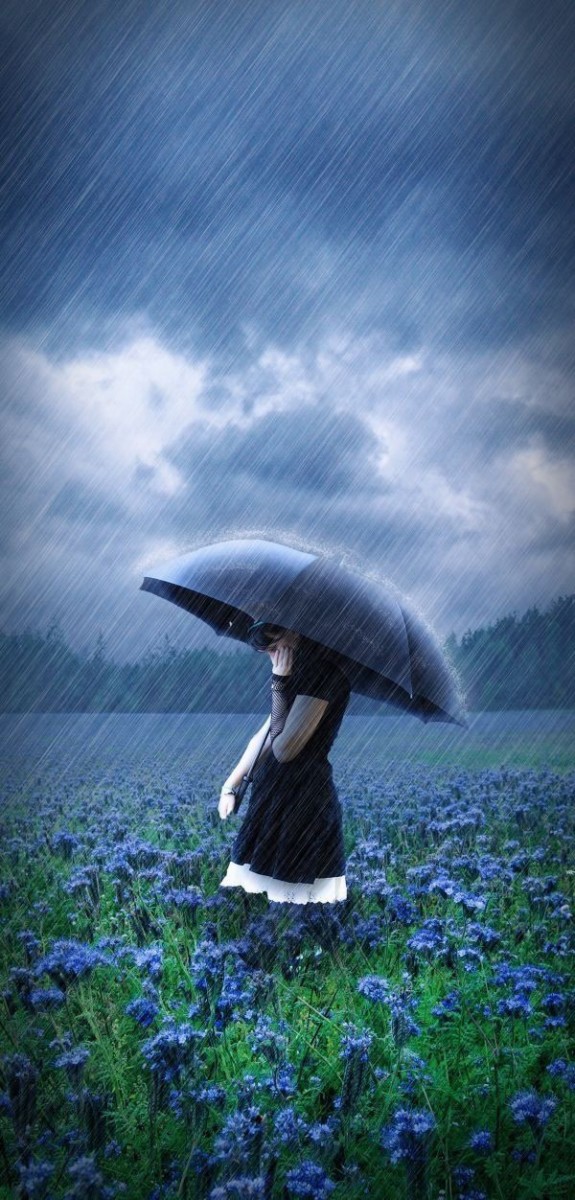 The Melody of Rain