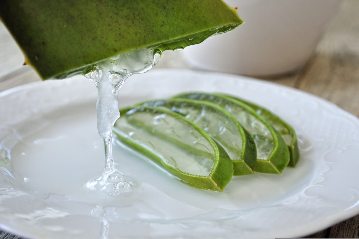 Aloe vera juice and best sale hydrogen peroxide for dogs teeth