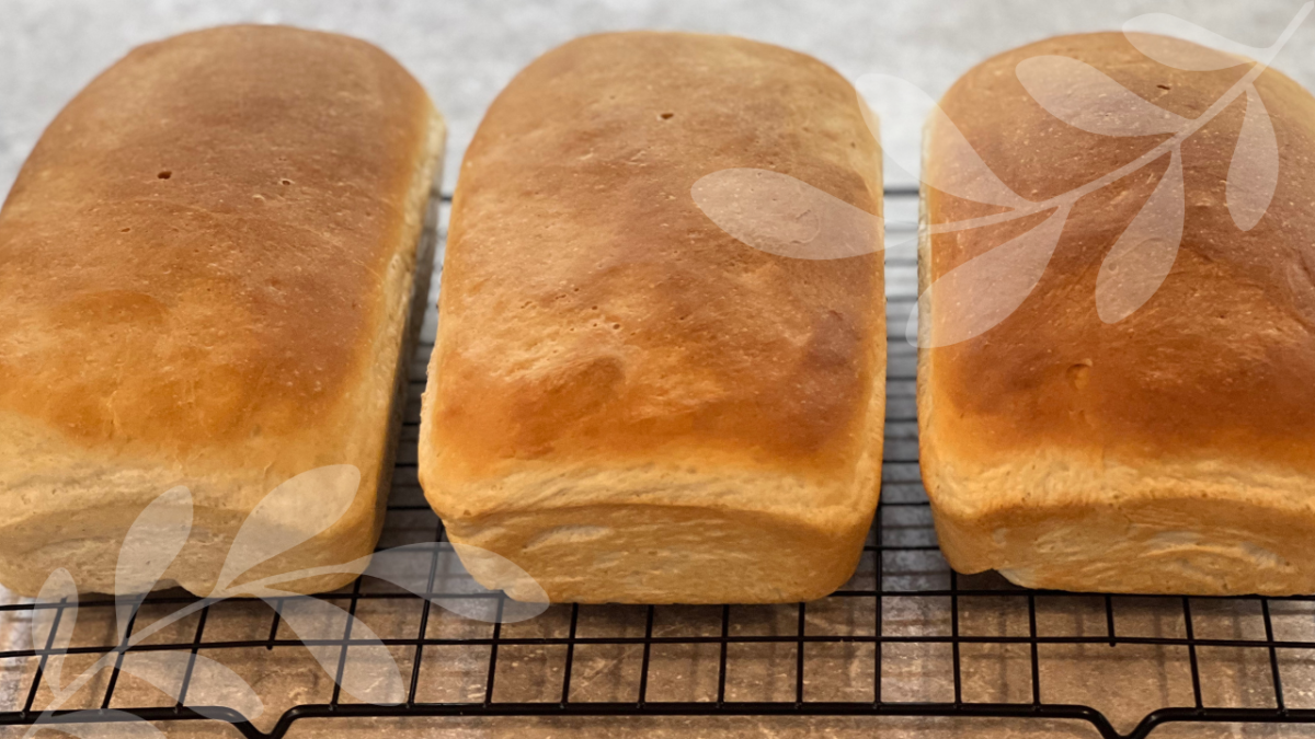 Easy White Sandwich Bread Recipe
