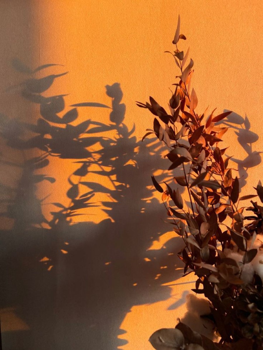 Shadows And Sunlight HubPages Shadows And Sunlight HubPages