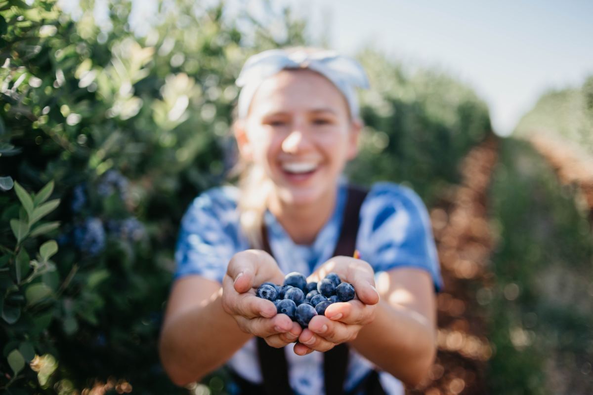 Are Blueberries Acidic or Alkaline? Why Does It Matter? CalorieBee