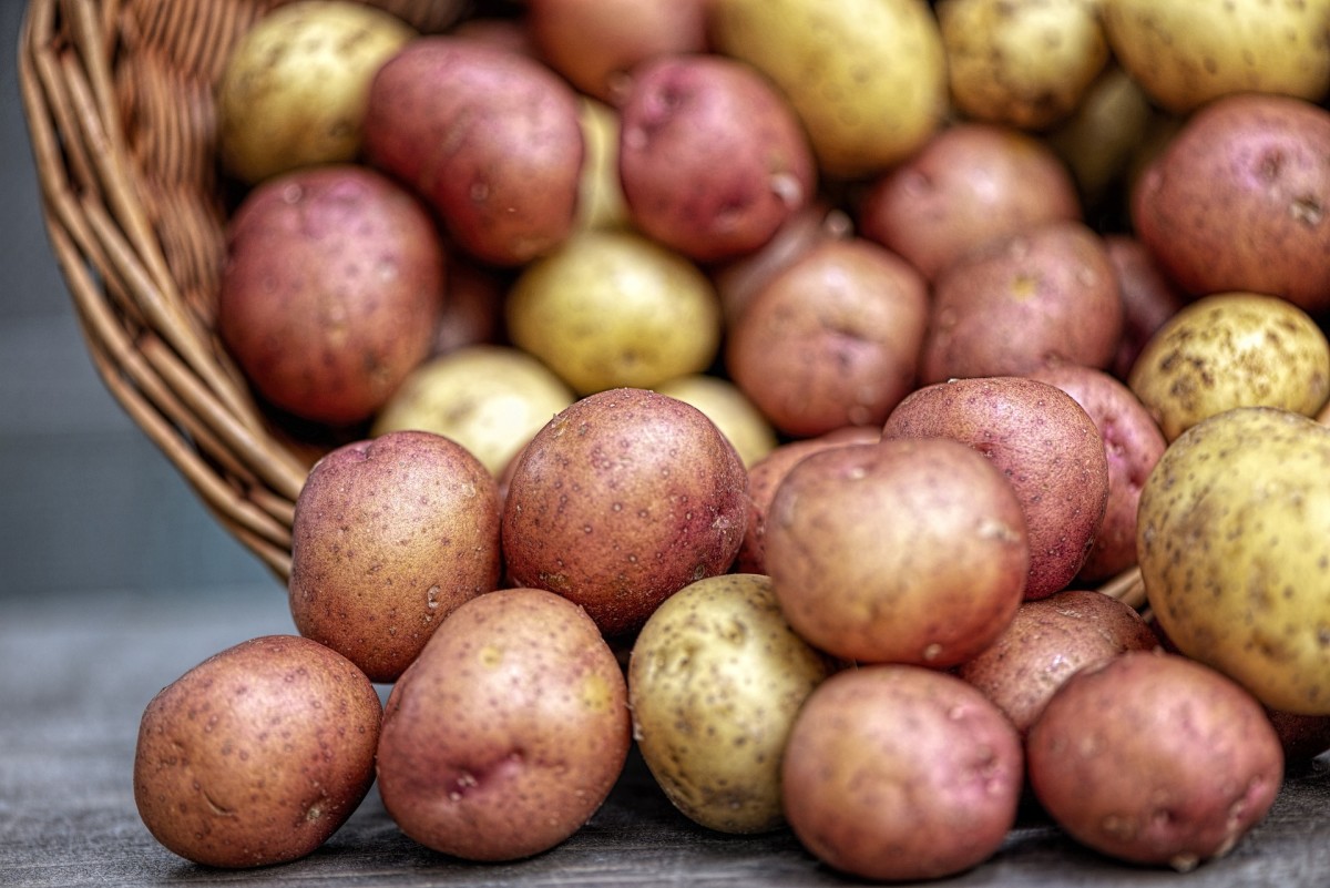 Everything You Wanted to Know About Potatoes (+ 8 Recipes)